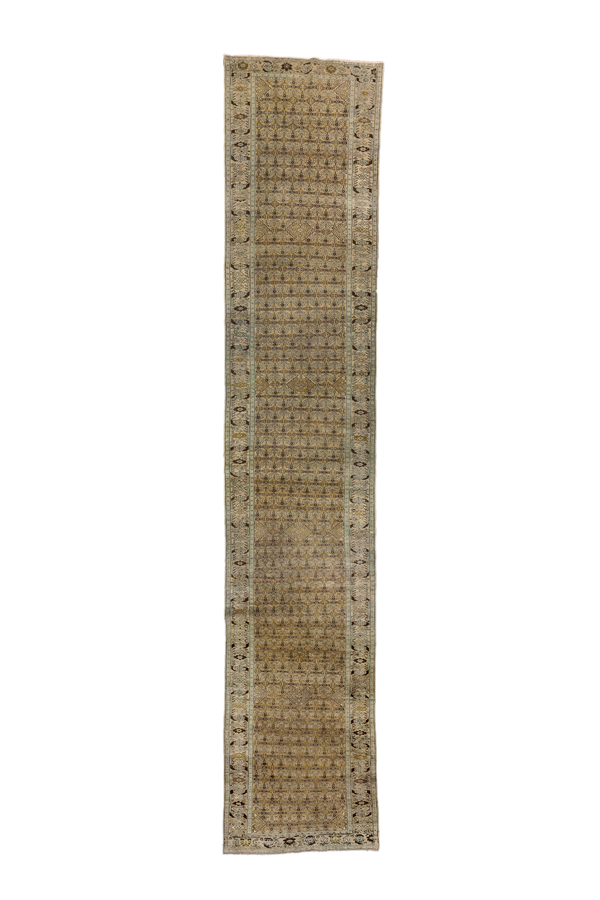 Rug Name
