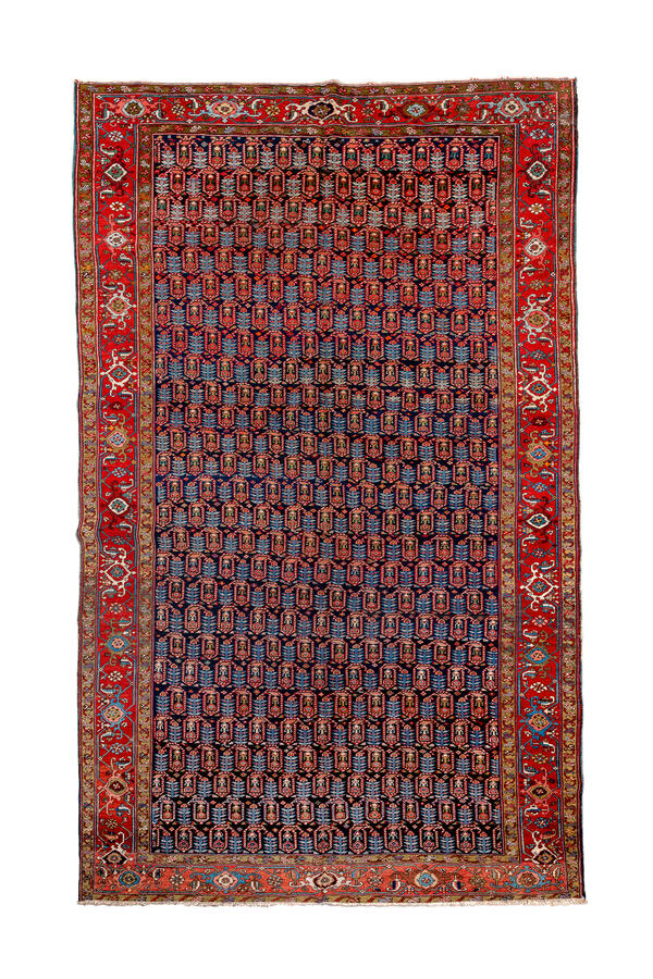 Rug Name
