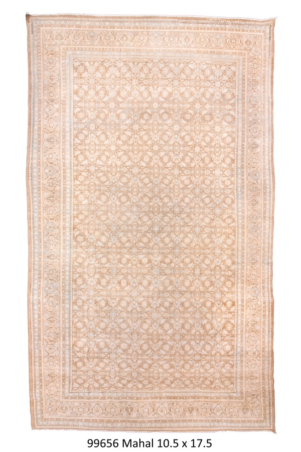Rug Name