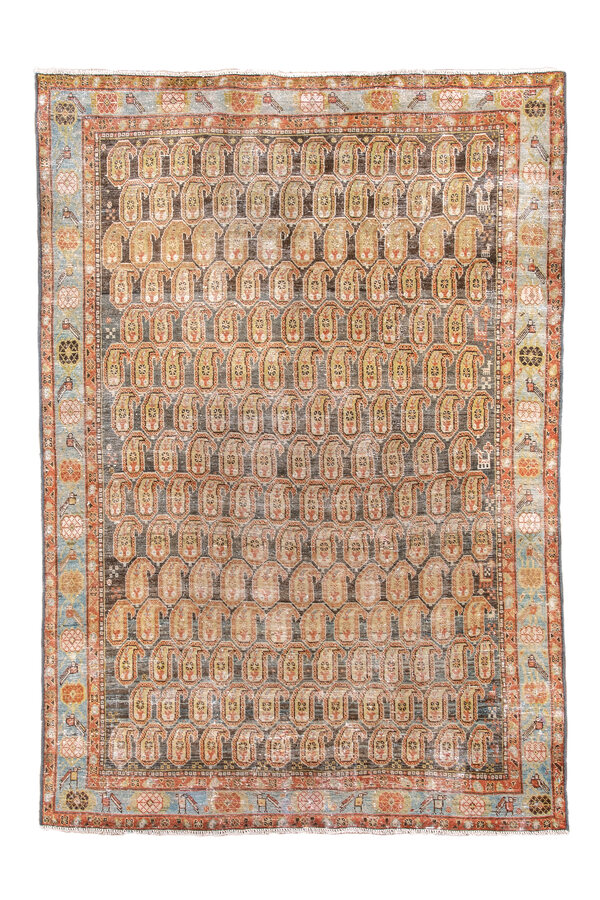 Rug Name