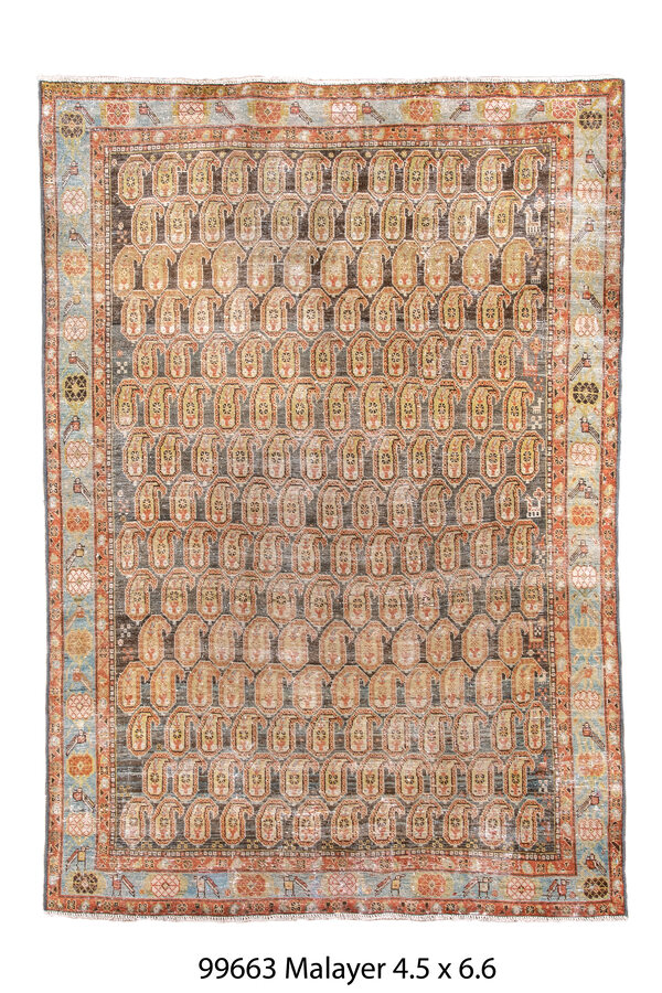 Rug Name