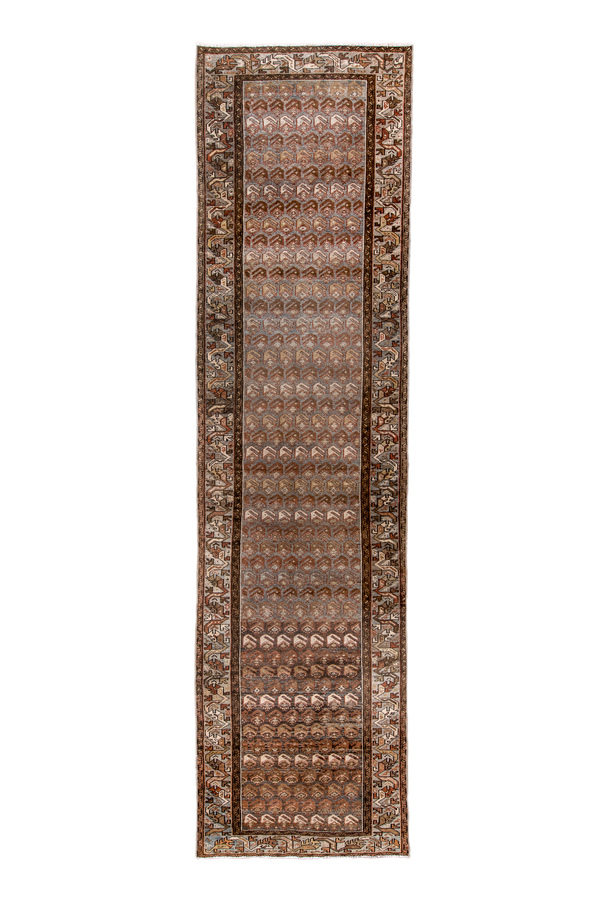 Rug Name