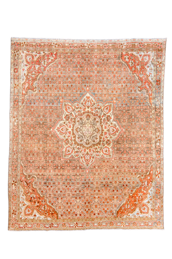 Rug Name