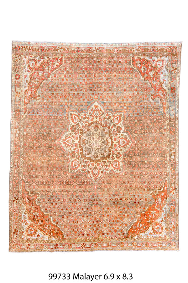 Rug Name