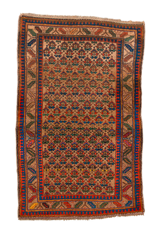 Rug Name
