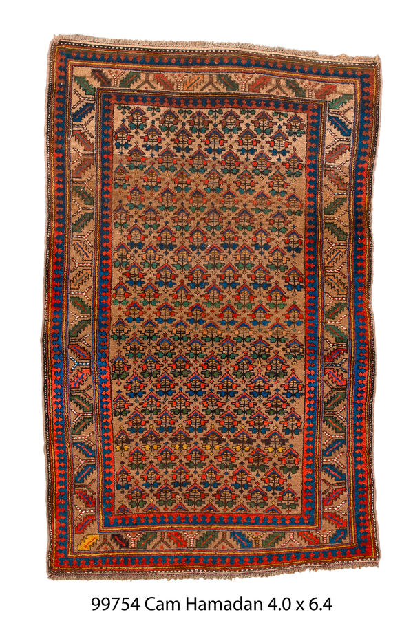 Rug Name