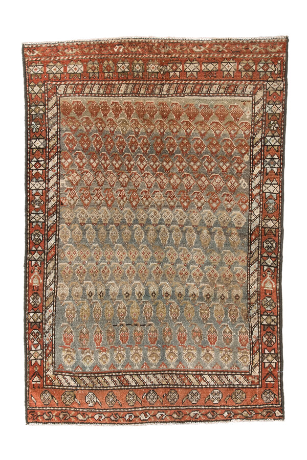 Rug Name