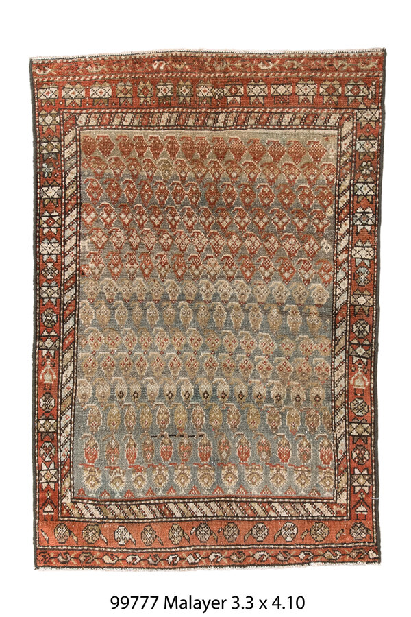 Rug Name
