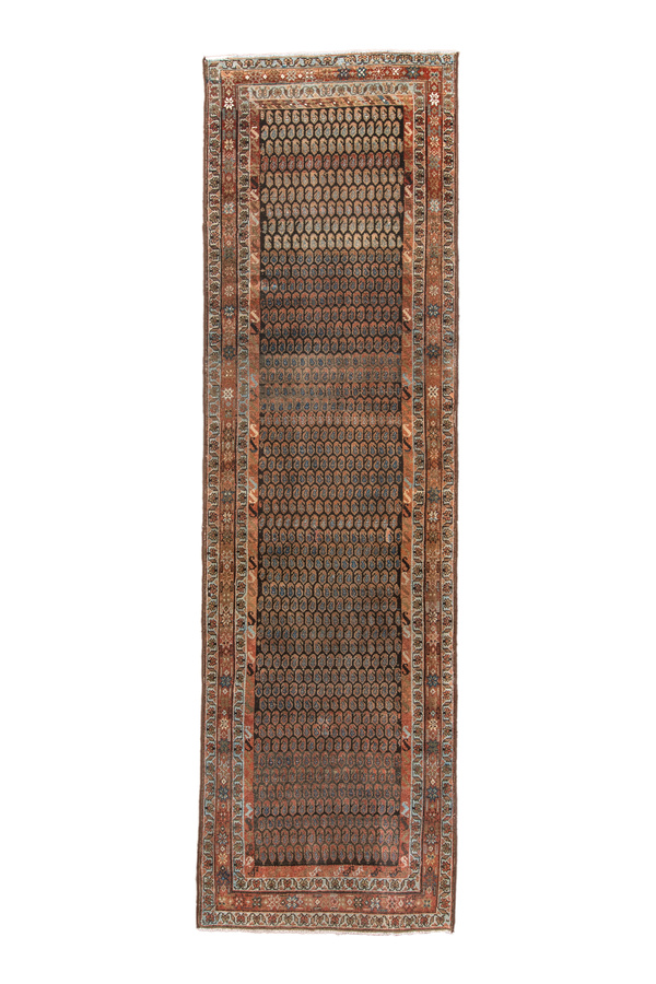 Rug Name