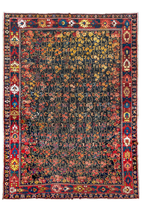 Rug Name