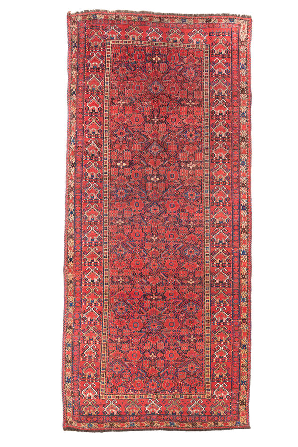Rug Name