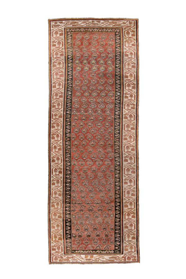 Rug Name
