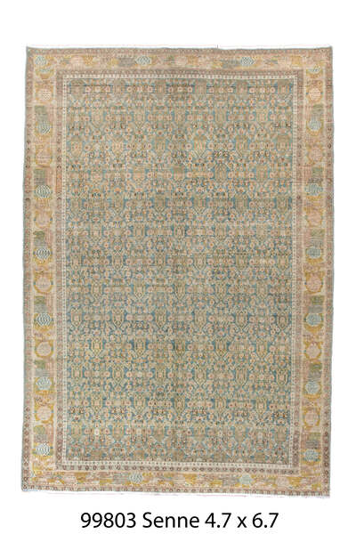 Rug