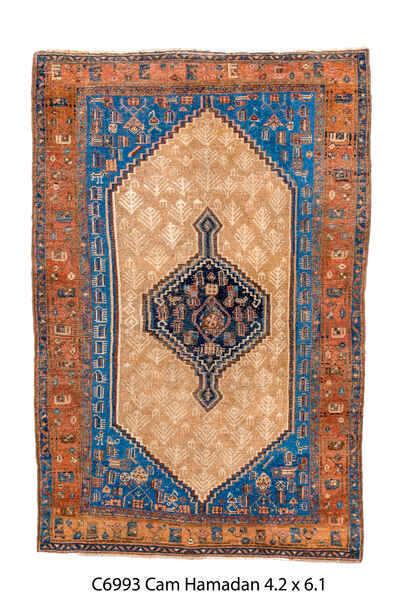 Rug