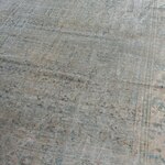 Rug Name