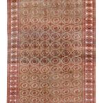 Rug Name