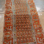 Rug Name