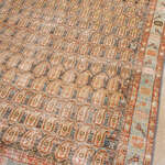 Rug Name
