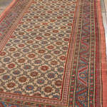 Rug Name